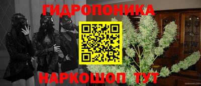 а пвп мука Владимир