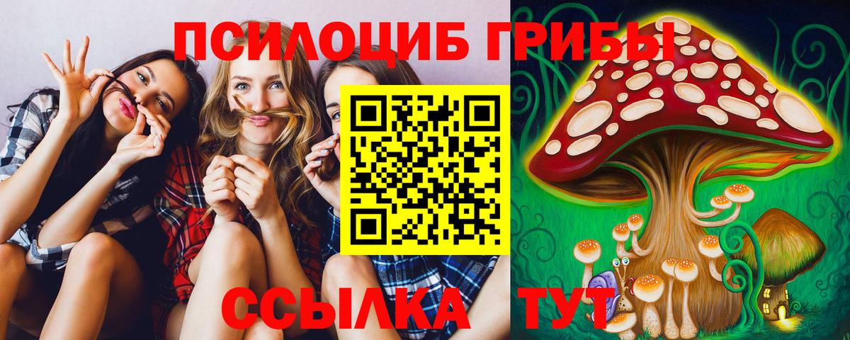 Псилоцибиновые грибы GOLDEN TEACHER  Вход с VPN  Псилоцибиновые грибы Cubensis  Выкса 