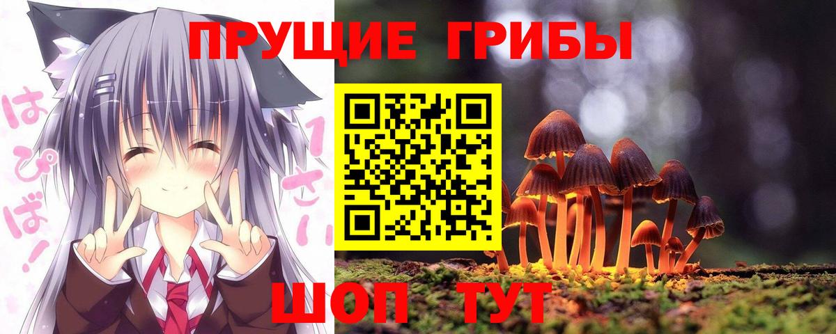 Галлюциногенные грибы Psilocybine cubensis Выкса